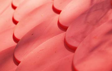 Hinderton plastic roof costs